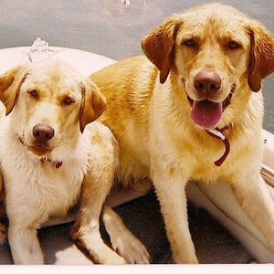 Meet your Posher, Lairen